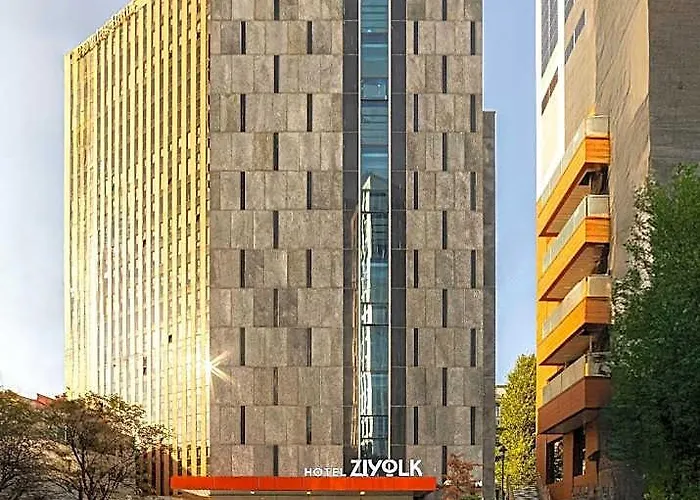 Hotel Ziyolk Station 3*
