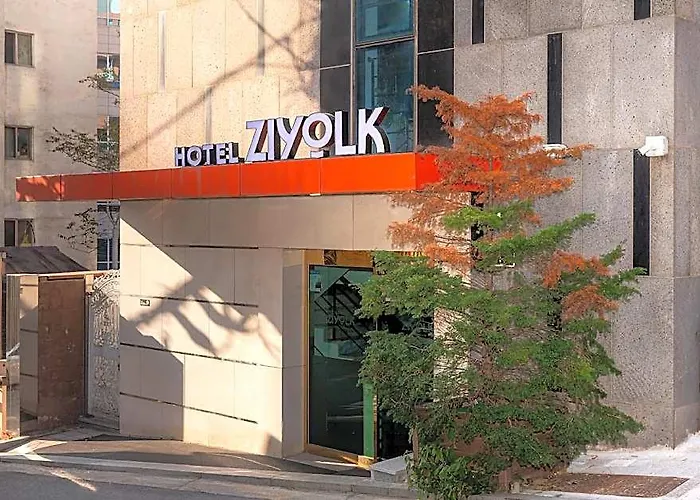 Hotel Ziyolk Station
